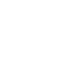 CapCut